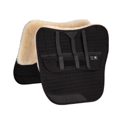 FPS Dressage Classic 