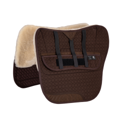 FPS Dressage Classic 