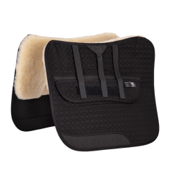 FPS Grande Dressage 
