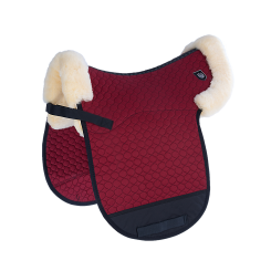 Saddlepad Champ D border 