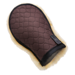 Cleaning & grooming glove 