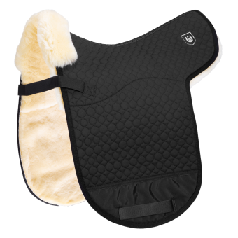 SPEZIAL D Warmblut