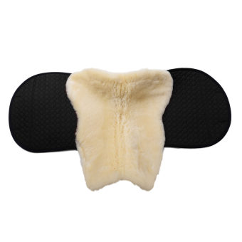 Saddlepad Champ D border 