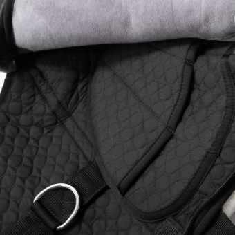 Bareback Pad Premium Plus 