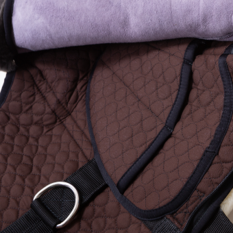 Bareback Pad Premium Plus 
