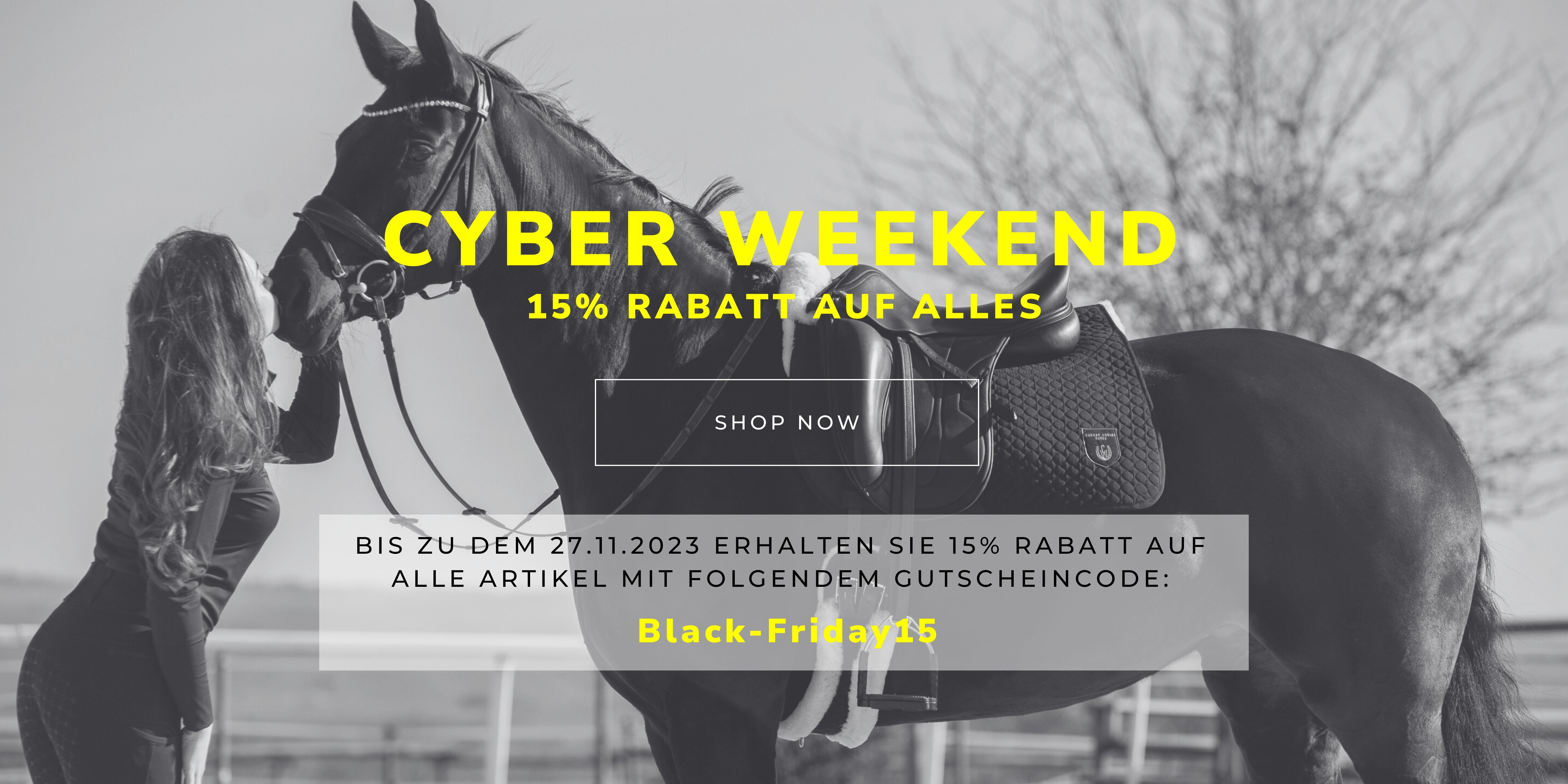 Cyber Weekend